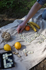 game of dominoes at a picnic. leisure. There is a domino on the picnic mat and nearby there are...