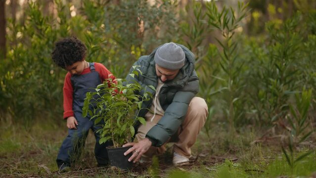 A tender moment as a father teaches his young son how to plant a tree, bonding over nature.