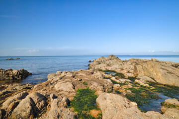 ゴツゴツした岩の潮溜りの透き通った青い海