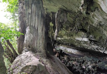 the cave
