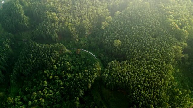 Train snakes through lush Haputale mountainous landscape. Green tea fields unravel as railway tracks bend in Sri Lanka highlands. Travelers witness terraced agriculture, pristine nature from carriage.