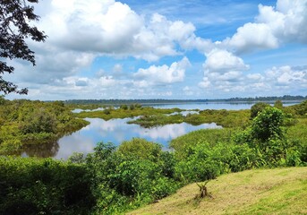 lake in the forest
