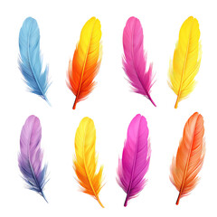 color feathers isolated on white