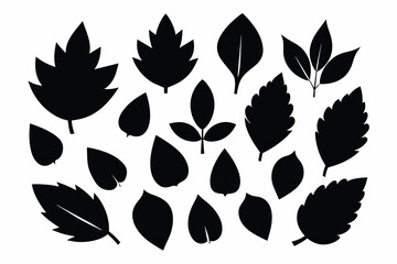 Set of leaf black Silhouette Design with white Background and Vector Illustration