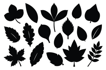 Set of leaf black Silhouette Design with white Background and Vector Illustration