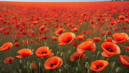 A field of poppies swaying in gradients of scarlet upscaled 9