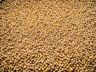 Fototapeta premium seeds background