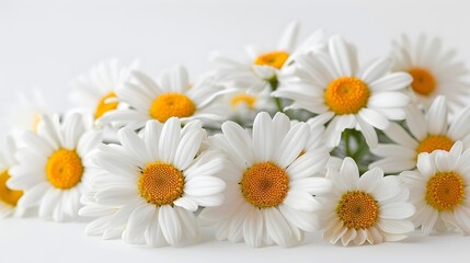 Fototapeta premium Bouquet of Delicate Daisy Flowers Arranged on a Clean White Background