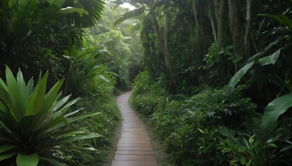 A narrow path leading through dense tropical folia