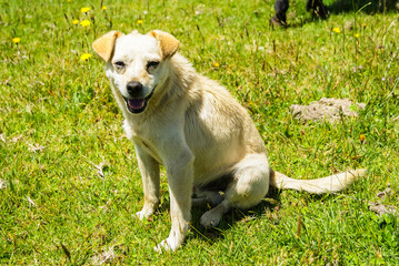 panoramicas y vida C&aacute;cota