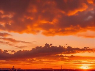 Fototapeta premium sunset in the city