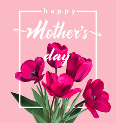 Bouquet of pink tulips with frame and text happy Mother's day