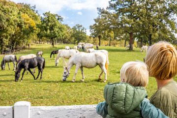 A woman and child are observing a group of horses grazing in a green field in a rural area,...