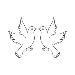 white dove flying