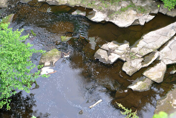 View of Still Waters of River with Rocks seen from above 