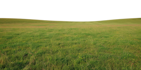 PNG Field outdoors horizon nature.
