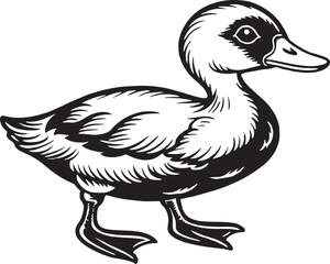 Duck.Vector illustration Isolated on white background.