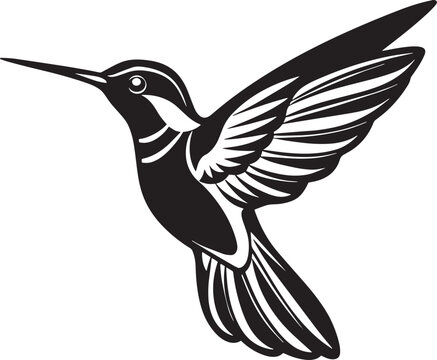 recommend clip art: Hummingbird - Black and White Vector Illustration - Isolated on White Background