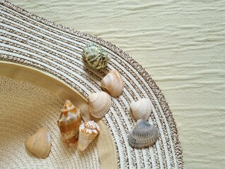 Seashells in the wicker hat