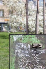 Stadtpark im Frühling