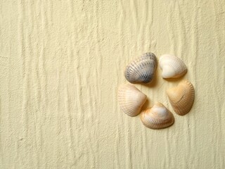 Seashells on the sand