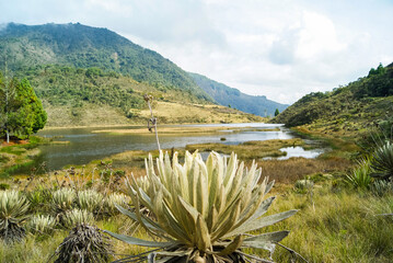 panoramicas y vida C&aacute;cota