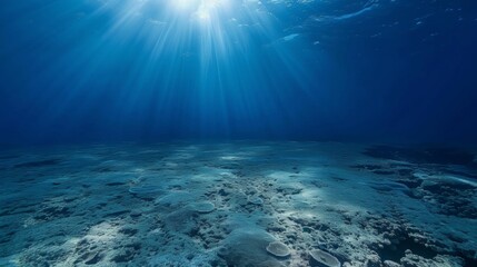 Obraz premium A view of the sun shining through a coral reef, AI