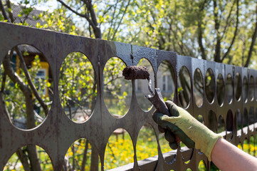 a hand with a paint roller paints an iron fence with brown paint in the garden