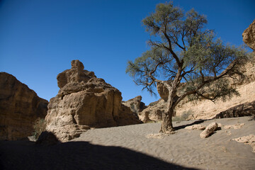 Namibia landscape on a sunny autumn day