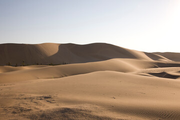 Namibia Namib Desert on a sunny autumn day