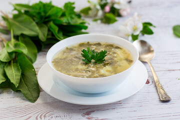 cooked green borscht from sorrel in a plate