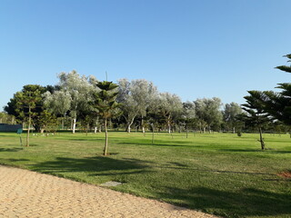 Hassan II Park in Rabat is a wonderful place to enjoy nature and tranquility, with its vast green spaces, artificial lakes, and places to rest and sit