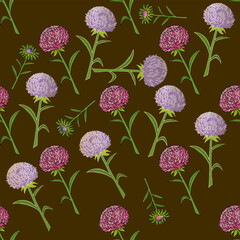 Seamless pattern with comfortable pink and violet aster flowers on brown background. Vector image.