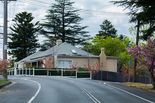 Cream weatherboard house on corner of streets in spring