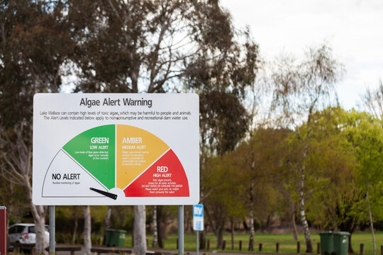 algae alert warning sign on no alert by Lake Wallace