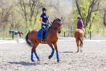 Young girl riding bay horse on equestrian dressage training