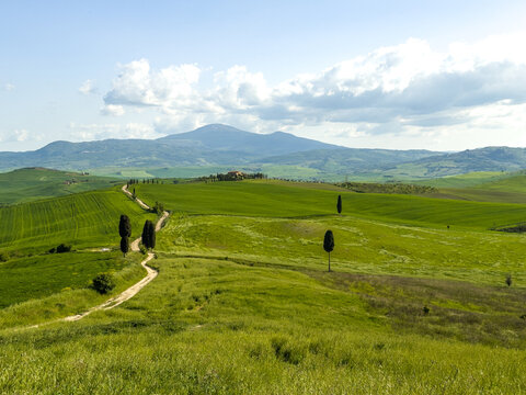 Słynny plener z filmu Gladiator