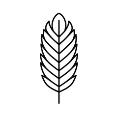 Minimalist black line drawing of a feather on a white background.