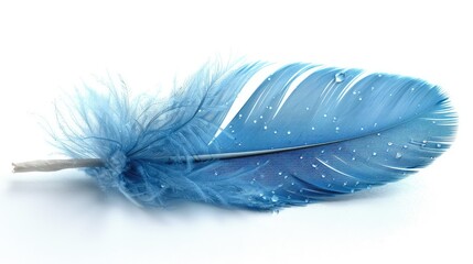 Blue Fluffy Feather Isolated on the White Background