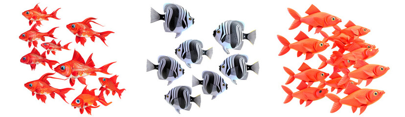 Set of flock of identical fish, swimming in one direction, illustration 3d, isolated on transparent background