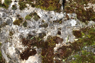 texture pebbles