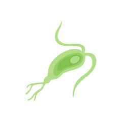 Copepod Microorganism Vektor Illustration 