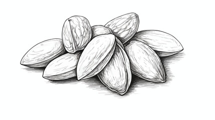 Almond nuts design element hand drawn sketch vector