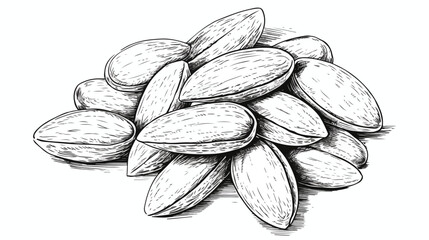 Almond nuts design element hand drawn sketch vector