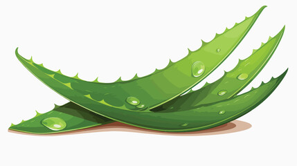 Aloe vera green plant realistic vector illustration