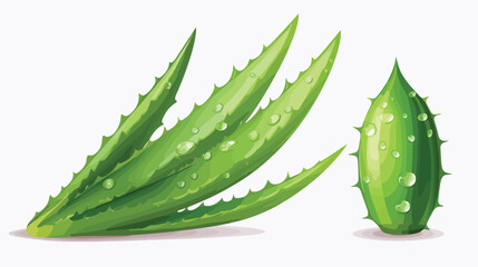 Aloe vera green plant realistic vector illustration