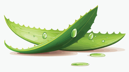 Aloe vera green plant realistic vector illustration
