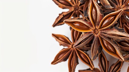 Close-up of star anise pods stacked delicately with a focus on the textured seeds, set against a seamless white backdrop - obrazy, fototapety, plakaty