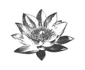  Lotus flower in grunge style with a grainy photocopy effect. An element of halftone strokes in the Gothic style. Vector illustration.