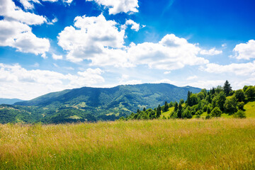 rural landscape of ukrainian highlands with grassy alpine meadows. countryside scenery of...